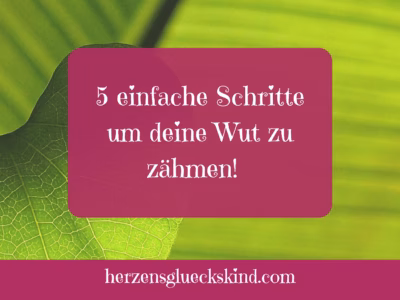 Mehr über den Artikel erfahren 5 Schritte um deine Wut zu zähmen