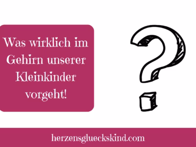 Mehr über den Artikel erfahren Was geht wirklich in unseren Kleinkindern vor? – Das kindliche Gehirn